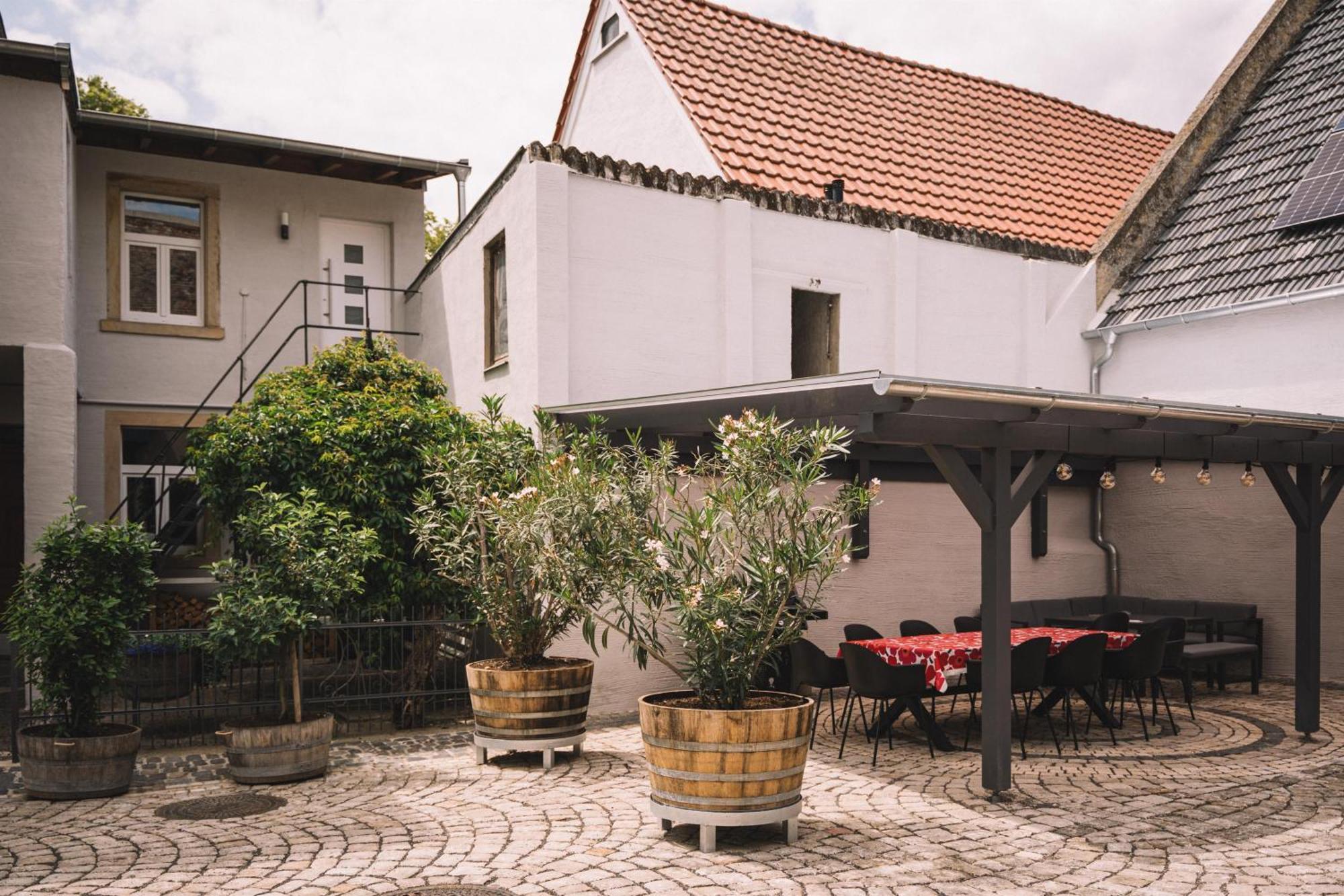 Weingut Petershof Lägenhet Alzey Exteriör bild