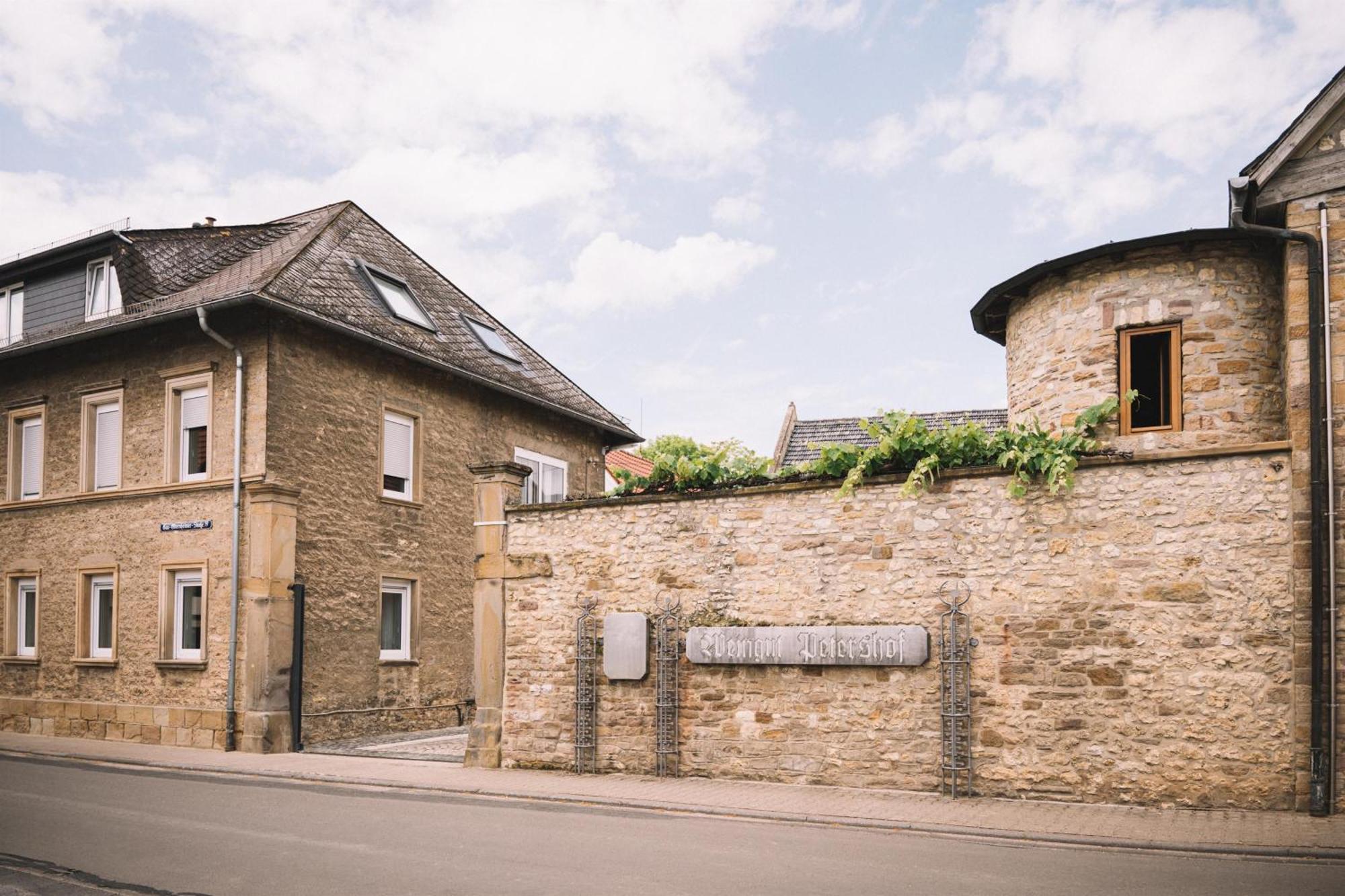 Weingut Petershof Lägenhet Alzey Exteriör bild