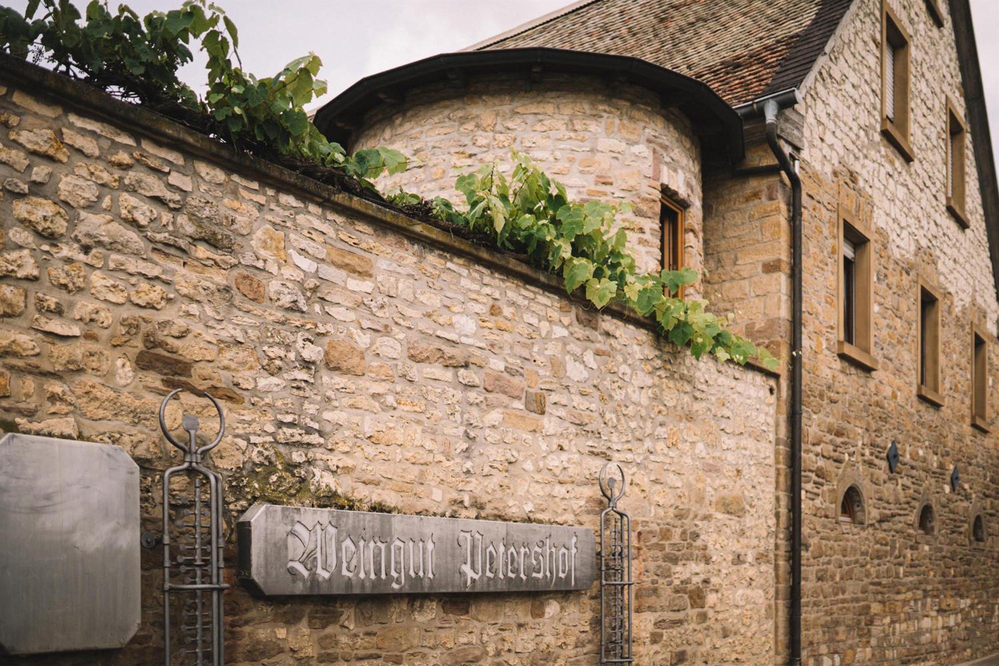 Weingut Petershof Lägenhet Alzey Exteriör bild